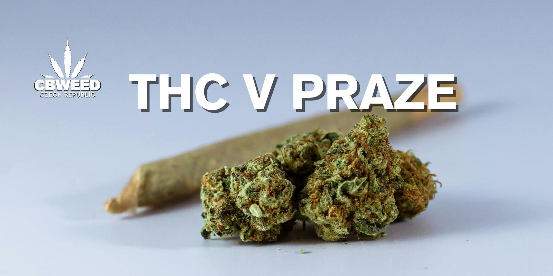 thc-praha